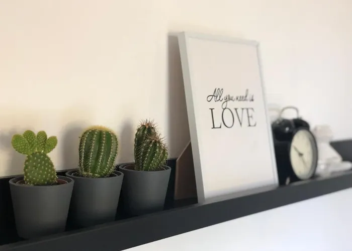 Spring * ソンボル